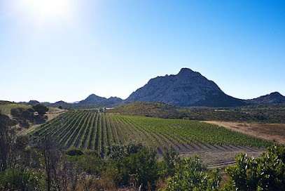 Domaine Giacometti, Vignoble à Santo-Pietro-di-Tenda