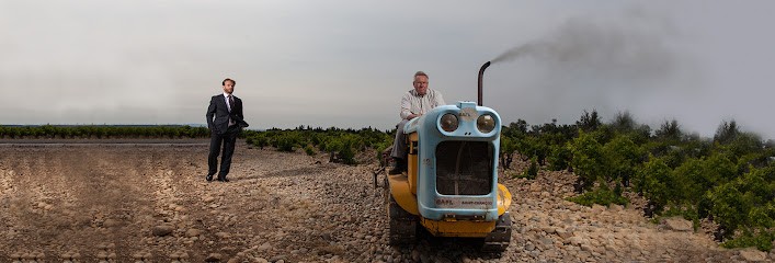 Domaine André Brunel - Châteauneuf-du-Pape, Vignoble à Sorgues