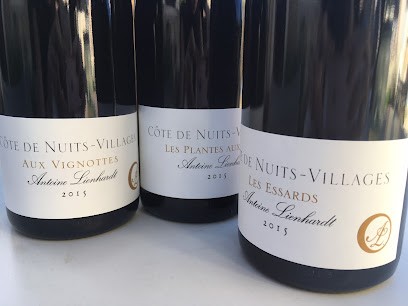 Domaine Lienhardt Antoine, Vignoble à Comblanchien