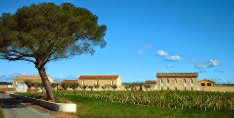 Vignobles Du Soleil International, Vignoble à Saint-Gilles