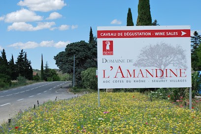 Domaine De L'Amandine, Vignoble à Séguret