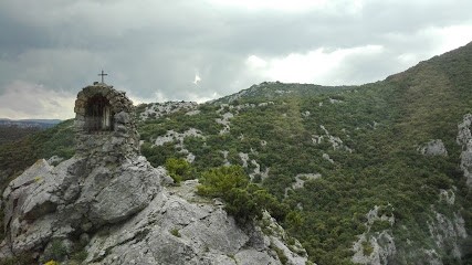 Pech Prestation Service, Vignoble à Saint-Paul-de-Fenouillet