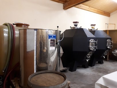 Domaine Les Deplaude de Tartaras, Vignoble à Tartaras