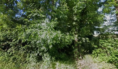 SCEA Des Vignobles Arnaud, Vignoble à Saint-Christoly-de-Blaye