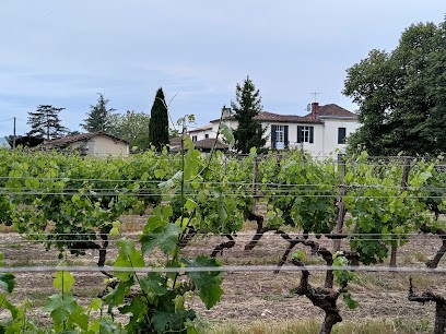 Domaines Latrille-Bonnin Petit Mouta, Vignoble à Mazères