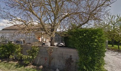 Delanoue Frères, Vignoble à Benais