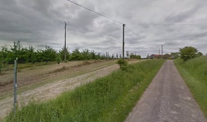 Château Haut Lavigne - Côtes De Duras - Vins Bio, Vignoble à Saint-Astier