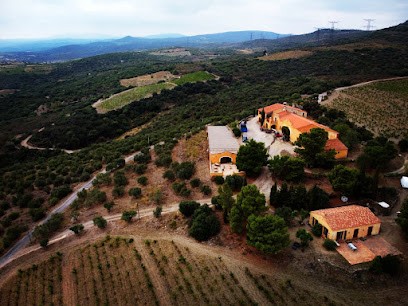 Domaine Força Réal, Vignoble à Millas