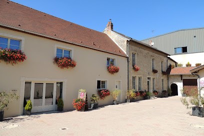 Champagne Delagarde Delozanne, Vignoble à Serzy-et-Prin
