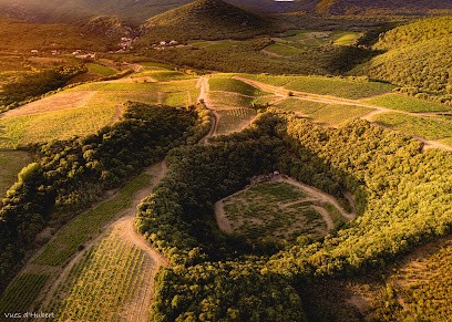 Domaine du Meteore, Vignoble à Cabrerolles