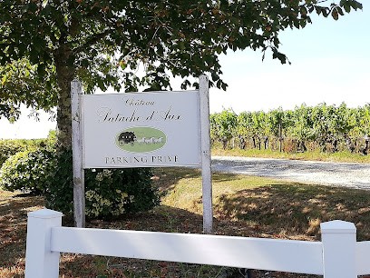 Château Patache d'Aux, Vignoble à Bégadan