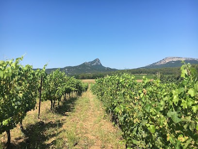 COSTE UBESSE, Vignoble à Saint-Mathieu-de-Tréviers