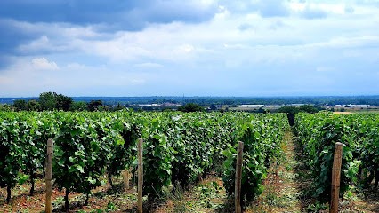 Fouillet Agnes, Vignoble à Vinzelles
