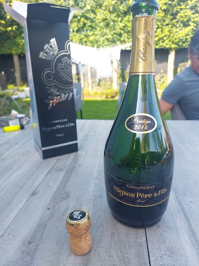 Mignon Père Et Fils Champagne, Vignoble à Vinay