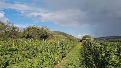 Domaine Marey, Vignoble à Meuilley