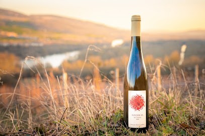 Domaine Rémi Gauthier, Vignoble à Vic-sur-Seille