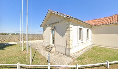 Chateau Blaignan, Vignoble à Bégadan