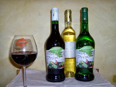 Cabal, Sébastien, Vignoble à Lagrave