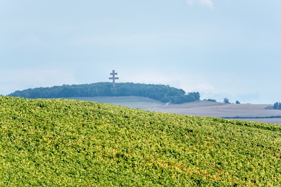 Champagne MONIOT JEAN-CLAUDE, Vignoble à Voigny