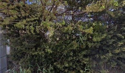 Domaines Dubois De Montreynaud SA, Vignoble à Vendres