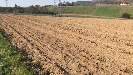 Domaine De Rotisson, Vignoble à Saint-Germain-Nuelles