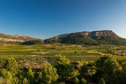 Terres Plurielles, Vignoble à Tautavel