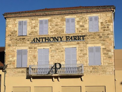 SARL Anthony Paret, Vignoble à Saint-Pierre-de-Boeuf