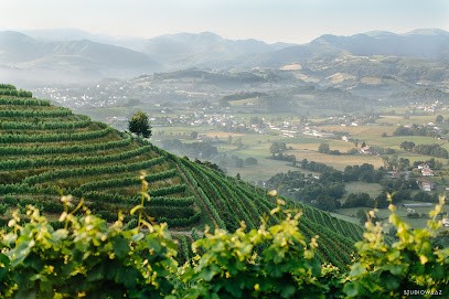 La Cave Irouleguy, Vignoble à Saint-Étienne-de-Baïgorry