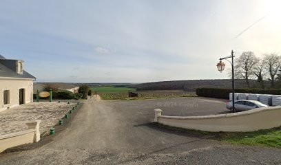 Domaine de SARRY, Vignoble à Veaugues