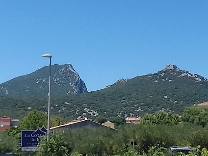 Les Coteaux Du Pic, Vignoble à Saint-Mathieu-de-Tréviers