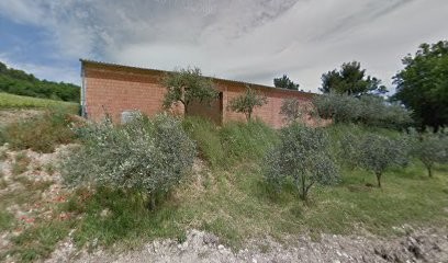 Domaine De L'Obrieu Perez Jean-Yves, Vignoble à Visan