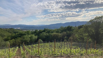 Merlin Julien, Vignoble à La Chapelle-Villars