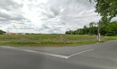 Societe Civile de la Gironville, Vignoble à Macau