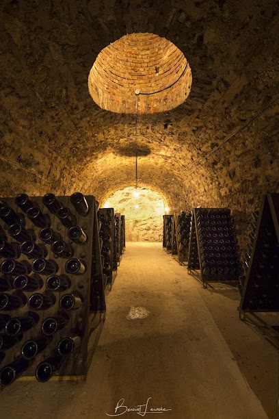 Champagne Dauby, Vignoble à Aÿ-Champagne