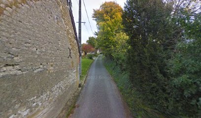 CHAMPAGNE DELONG Marlene, Vignoble à Allemant