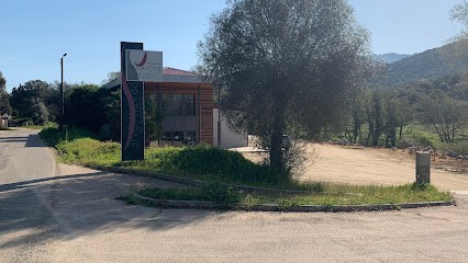 Domaine de Pratavone, Vignoble à Pila-Canale