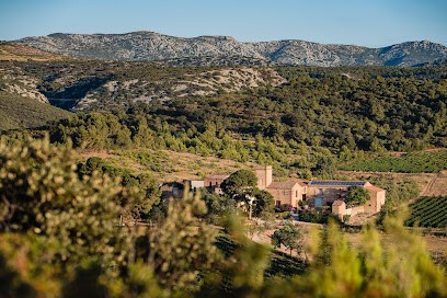 CHATEAU SAINT MICHEL / Domaine De BESOMBES, Vignoble à Salses-le-Château