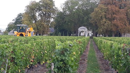 Perrauteau Pascal, Vignoble à Bourgueil