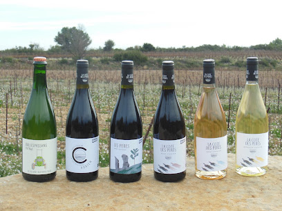 La Côte Des Pères Vignoble à Villespassans