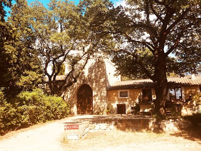 Domaine de la Chapelle, Vignoble à Châteauneuf-de-Gadagne