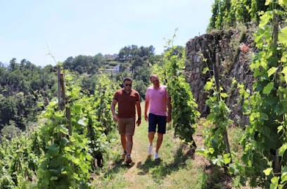 Maison Bruyère et David, Vignoble à La Chapelle-Villars