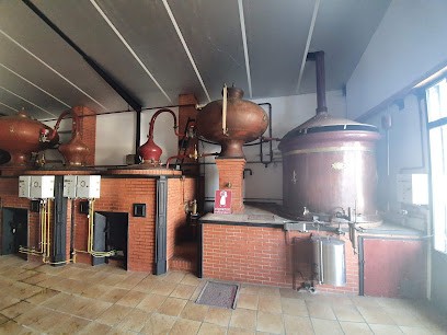 Vignoble Favre & Fils - Boutique sur l'exploitation et vente de vin et pineau BIO en ligne, Vignoble à Saint-Pierre-d'Oléron