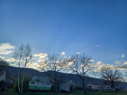 Domaine du Clos D'arvières - Martine Bernard et Régis Mollex, Vignoble à Chanay