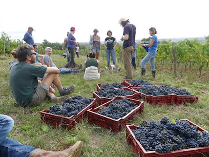 Château Tire Pé Vignoble à Gironde-sur-Dropt
