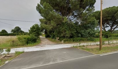 Château Tour De Gravelin, Vignoble à Ambarès-et-Lagrave