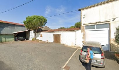 Vignoble PAPIN - Domaine De La Colline, Vignoble à Sèvremoine