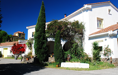 Domaine Vial-Magneres Vignoble à Banyuls-sur-Mer