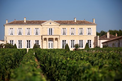 Château Branaire-Ducru, Vignoble à Saint-Julien-Beychevelle