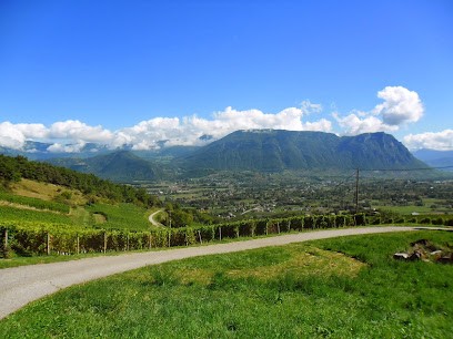 Domaine de la maison blanche, Vignoble à Apremont