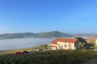 Domaine Vincent Lemonde Vignoble à Jambles